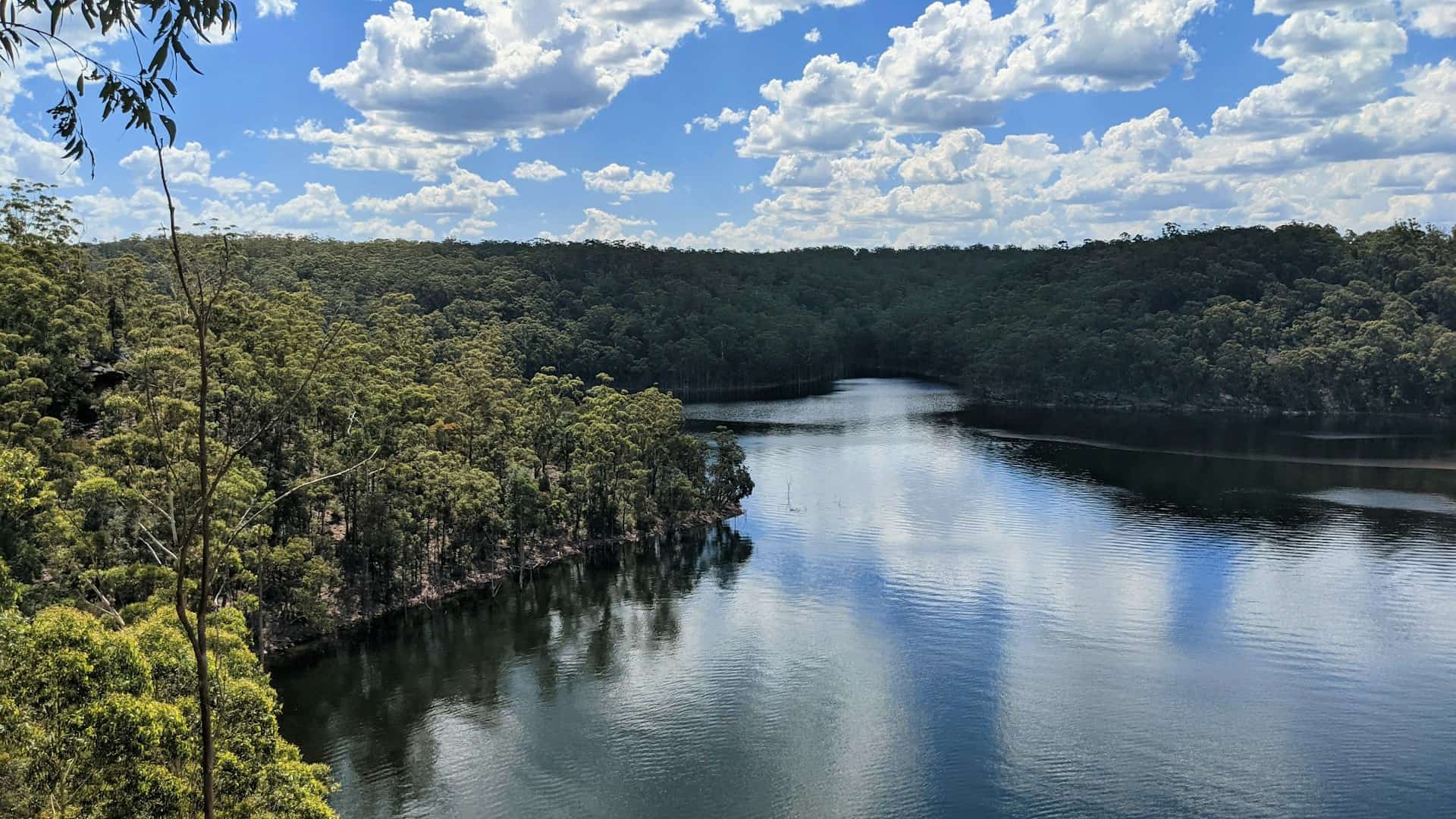 Overhead shot of a river and shoreline.