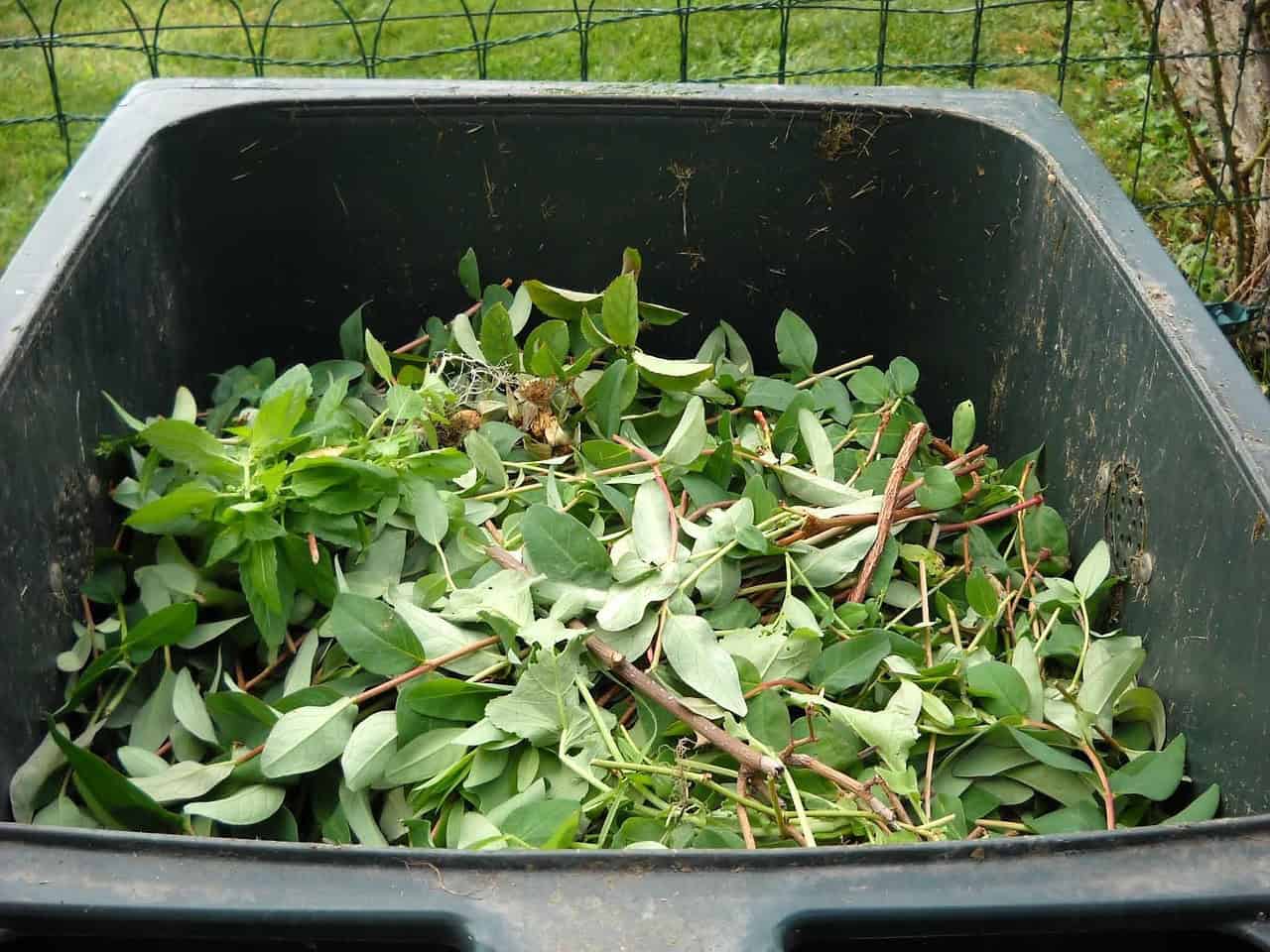 Bin filled with leaves and small branches